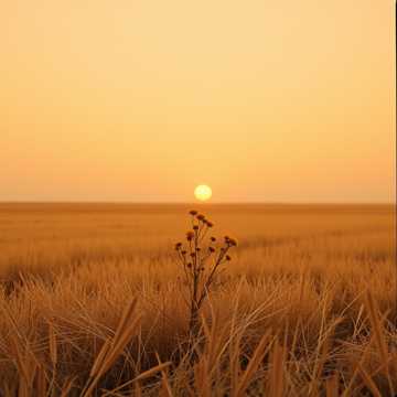 Bitlo.ru - Принести мне цветы с осенней донской степи.