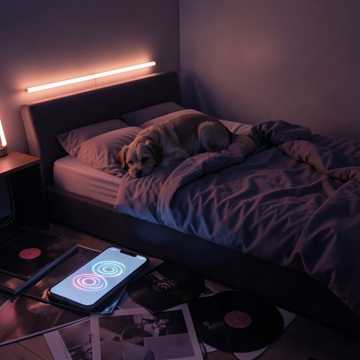 Bitlo.ru - Дима с собачкой сосётся, ножкой кочает и чуть ч