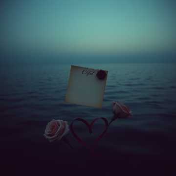 Bitlo.ru - Мой милый друг