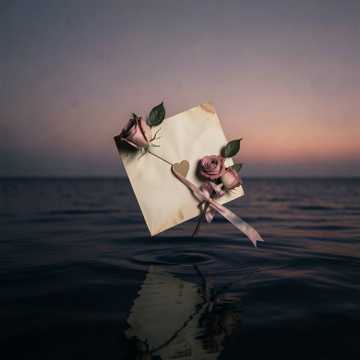 Bitlo.ru - Мой милый друг