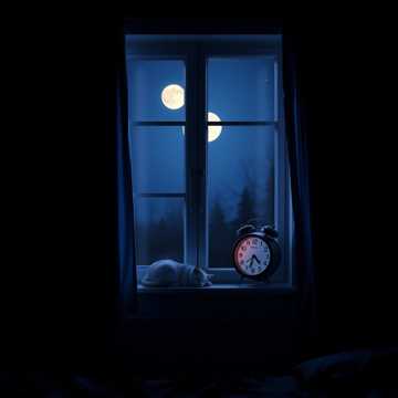 Bitlo.ru - Молчание