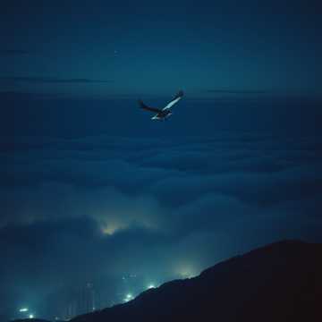 Bitlo.ru - Мой Пулевой Выстрел