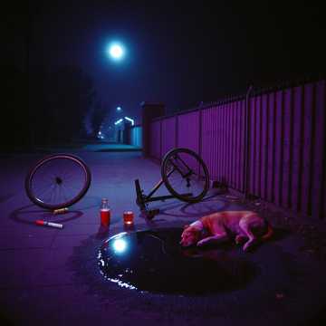 Bitlo.ru - Пьяные Девочки