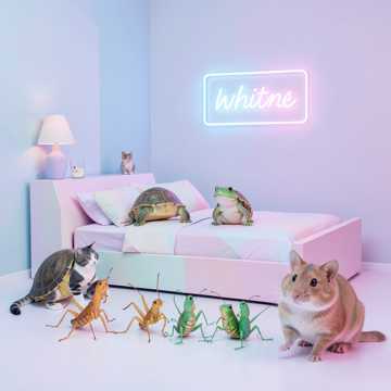 Bitlo - Меня зовут Соня У меня есть сестра Даша она ходит...