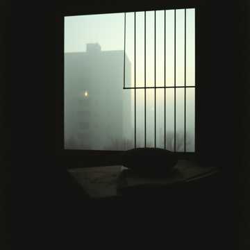 Bitlo.ru - Туман над зоной