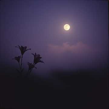 Bitlo.ru - иди за мной