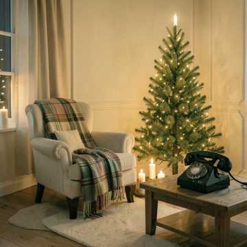 Bitlo.ru - День Рождения