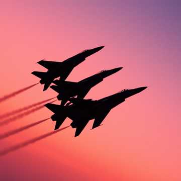 Подмосковные стрижи