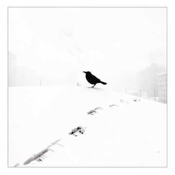 Bitlo - Над белым снегом 
Зима по дворам стлело...