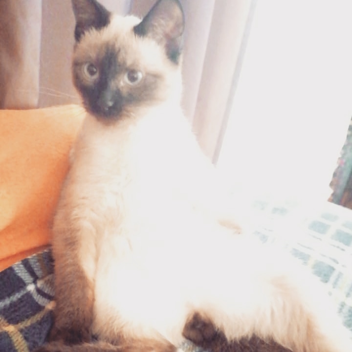 Bitlo.ru - Куплет 1: