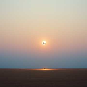 Bitlo.ru - Тишина