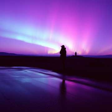 Bitlo.ru - Пурпурные Сны